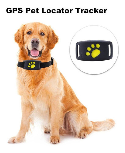 Rastreador De Localizador De Mascotas Gps Impermeable Dispos