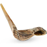 Shofar De Cuerno De Carnero De Jerusalen 34-43cm M. Polaco