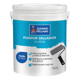 Probase Sellador Fijador Al Agua 4 Lt Sherwin - Rex