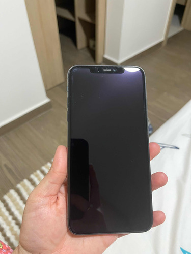 iPhone 11 Pro Max 256gb Usado