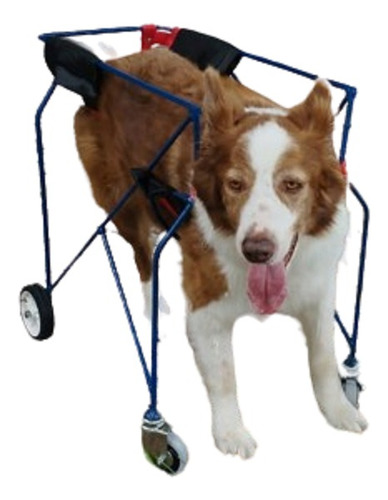 Silla De Ruedas Carro P/perros Medianos, 4 Ruedas De 15/25kg