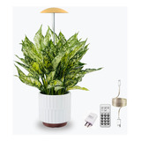 Luces Led De Crecimiento Plantas De Interior, Smart Usb...