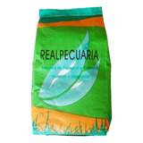 Sementes De Grama Batatais 1 Kg (frete Grátis Acima De 4 Kg)