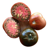 15 Sementes Tomate Paul Robeson Variedade Crioula Da Rússia