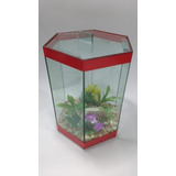 Aquário Mini Beteira Jardim Sextavado 1.8lts Decorado N