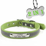 M Jjypet Personalizados Del Perro / Collar Del Gato Collares