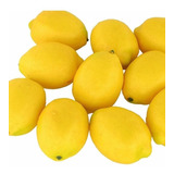 12 Limão Siciliano Artificial Realista Fruta Decorativa 