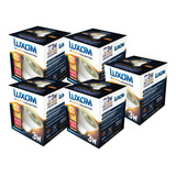 Lampara Led Dicroica 3w Luxom Gu10 Luz Calida X 5unidades