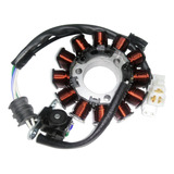 Estator Para Yamaha Fz16 (11-19)