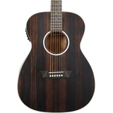 Washburn Guitarra Electroacústica Ebony Fe Deep Forest  Mate Color Marrón Oscuro