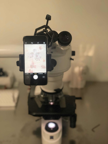 Soporte Universal De Celular Para Microscopio