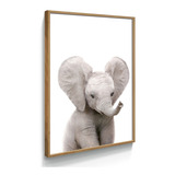 Quadro Decorativo Filhote Animal Quarto Prateleira Moldura