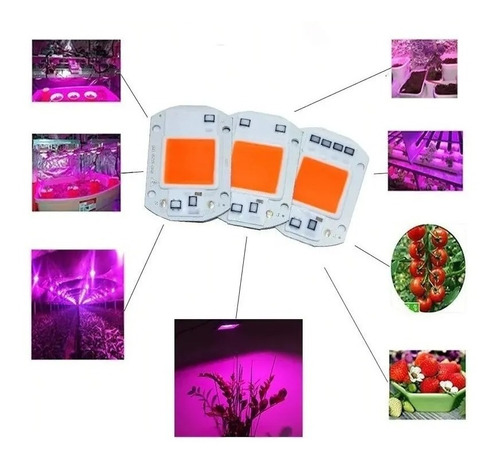 Chip Led 50w Roxo Full Spectrum Cultivo Indoor Grow