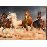 Cuadro Caballos, Medida 70x50cm Envio Gratis