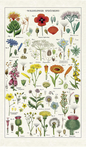 Cavallini & Co. Wildflowers - Toalla De Te, Multicolor