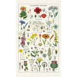 Cavallini & Co. Wildflowers - Toalla De Te, Multicolor