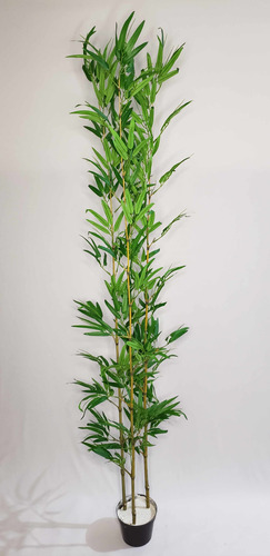 Bambu Japonês Artificial 150cm Árvore Decorativa Para Sala