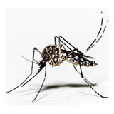 Repelente De Mosquitos Ultrasonico Plagas Insectos Ss400