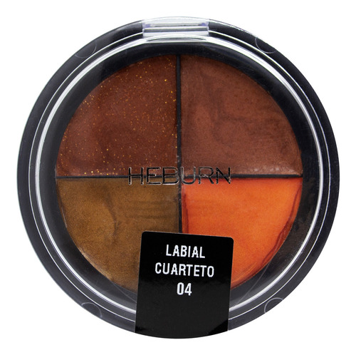 Heburn Labial Cuarteto Maquillaje Profesional Labios Cod 304 Acabado Cremoso Color 04