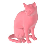 Gato Pelô Curto Brasileiro Pet Rosa