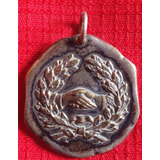 Medalla Antigua Cabo Alarcon-neuquen-(# 001)