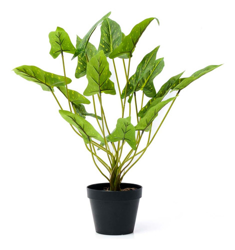 Planta Artificial Interior Decoracion Singonio 40cm 