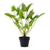 Planta Artificial Interior Decoracion Singonio 40cm 