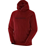 Buzo Salomon Hombre - Polar Lt Hoodie - Casual