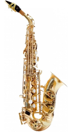 Sax Silvertone Slsx001 Soprano Curvo Laqueado C/estuche Msi