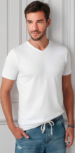 Camiseta Básica Masculina Gola V Malwee Original Algodão