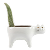 Pote De Gato De Desenho Animado Succulent Planter Co