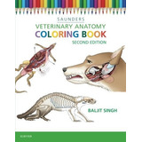 Libro De Colorear De Anatomía Veterinaria - Para Niños