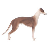 Figura Modelo De Perro Galgo Para Mascotas, Educación Cientí