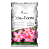 Substrato Rosa Do Deserto 5 Kg