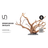 Spider Wood En Piedra 18-30cm Maderas Decorativas Acuarios