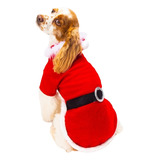 Disfraz Sudadera Santa Claus Navidad Perro Talla 8 Pet Pals