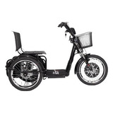 Triciclo Elétrico Duos Com Ré 800w | Modelo 2021