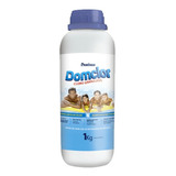 Cloro De Piscina Granulado Hipoclorito Cálcio 1kg Domclor