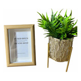 Kit Vaso Tripé Dourado Luxo + Porta Retrato Bambu + Planta