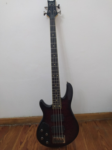 Bajo Zurdo Schecter Raiden Activo