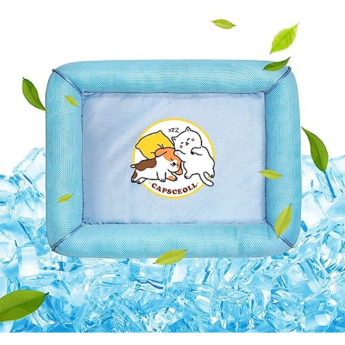 Capsceoll Cama De Verano Para Perros De Malla Elevada Para E