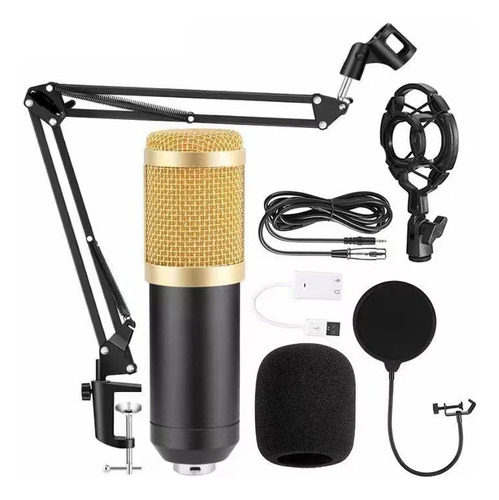 Kit De Micrófono De Estudio Bm800 + Pop Filter + Spider + Arm Articula En Color Negro