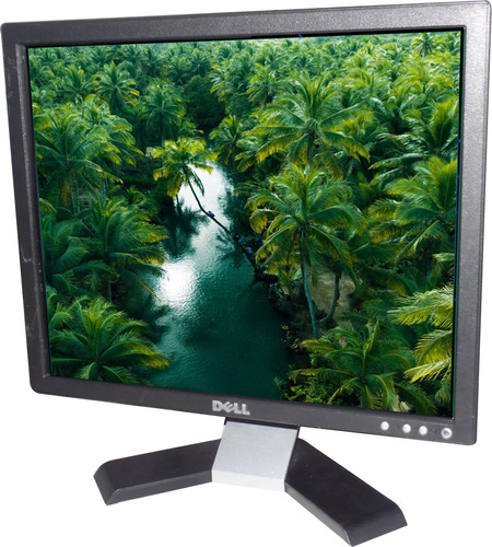 Monitor Dell Lcd 17 Pol. E178fpc, E170sc C/ Manchas E Riscos