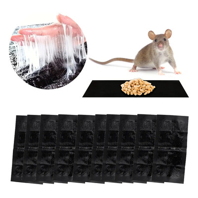 10 Piezas Trampa Adhesiva Extra Grande Para Roedores Slim Company Captura Segura Y Eficiente De Ratas Y Ratones Con Pegamento Potente Herramienta Efectiva De Caza Adhesiva Para Control De Plagas | MercadoLibre