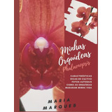Minhas Orquídeas: Phalaenopsis