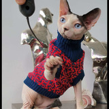 Gato Sin Pelo Sphynx Egipcio.  Disponibles . Criadero Legal