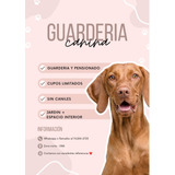 Guarderia Y Pensionado Canino (zona Norte)