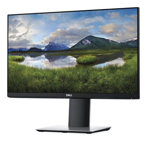 Monitor Dell Professional P2319h Led 23  Negro 100v/240v