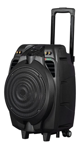 Parlante Portatil Recargable 10  Bluetooth Microfono Radio