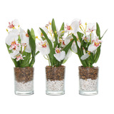 Plantas Decorativas Kit Com 3 Vasinhos Arranjo Artificial 